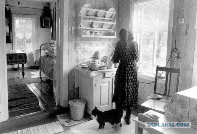 Вот оно какое наше лето!