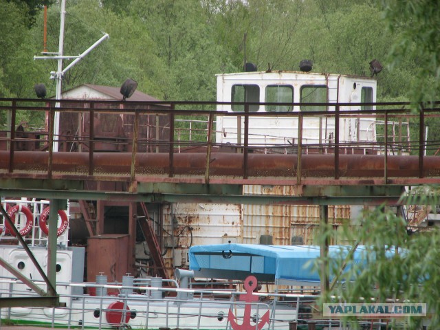 Черная быль