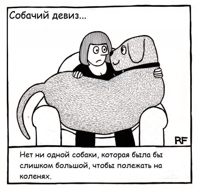 Подборка приколов