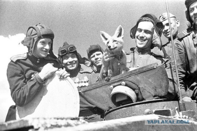Фотографии к "Нахальному минированию" и "Лехе"