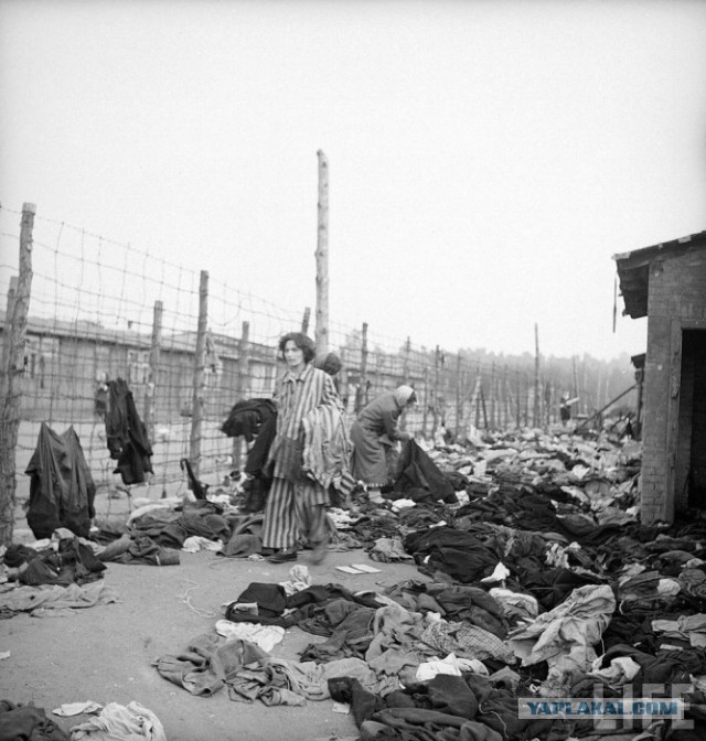 Интересные и редкие фотографии