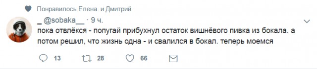 Смешные комментарии из социальных сетей 23.06.2017