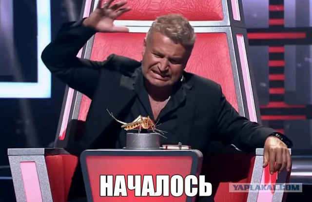 12 методов избавления от комаров.
