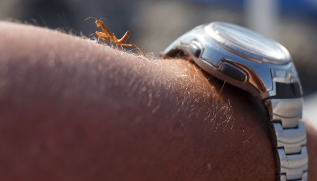 Просто Природа