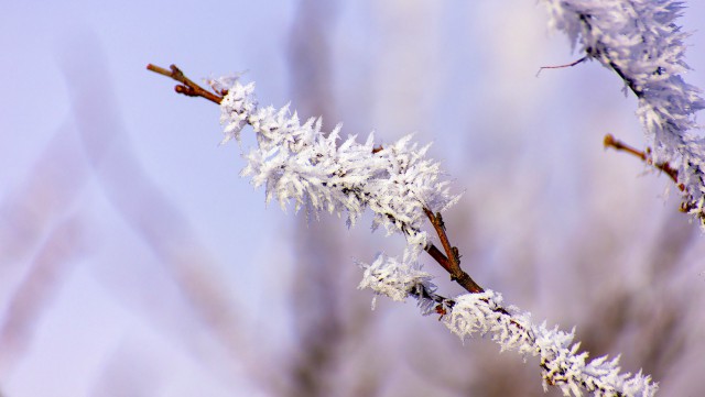 Просто Природа