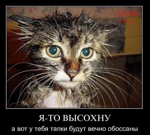 Итоги проверки пользователей