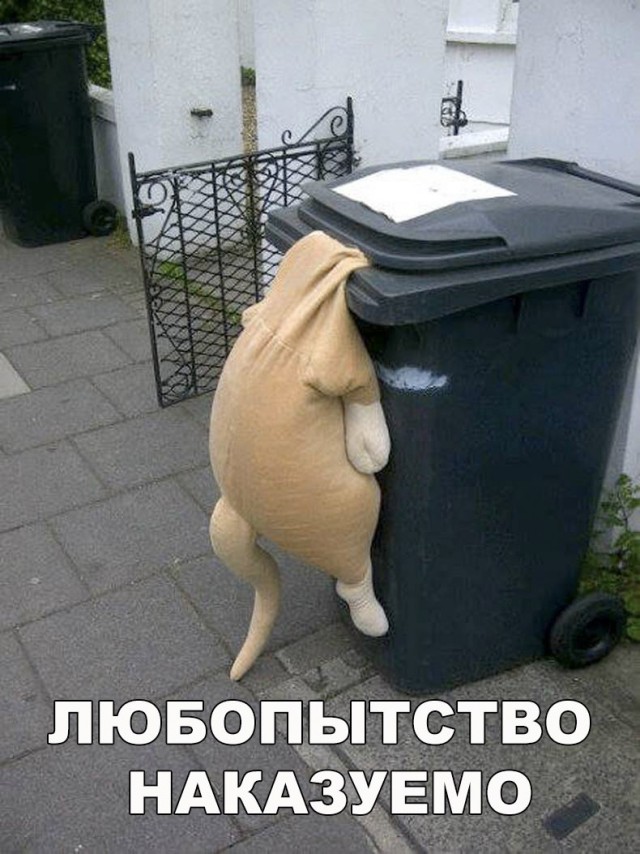 Прикольные картинки обо всём