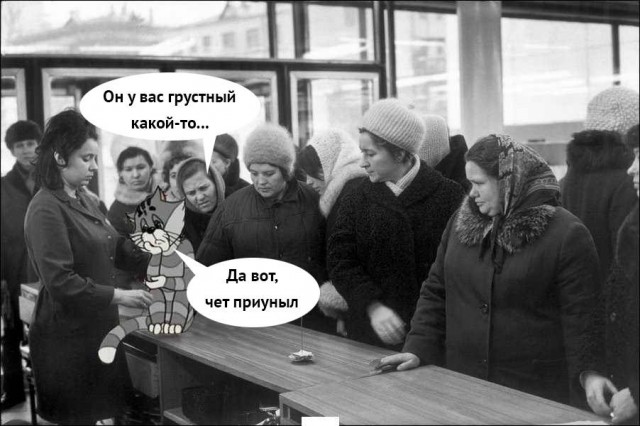 «Союзмультфильм» следом за новым «Простоквашино» снимет мультфильм о попугае Кеше
