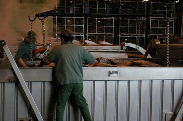 Из чего и как делают пробку