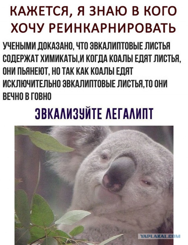Немного картинок на вечер