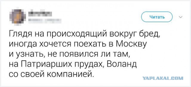 Клоуны и спортсмены как основной состав Думы