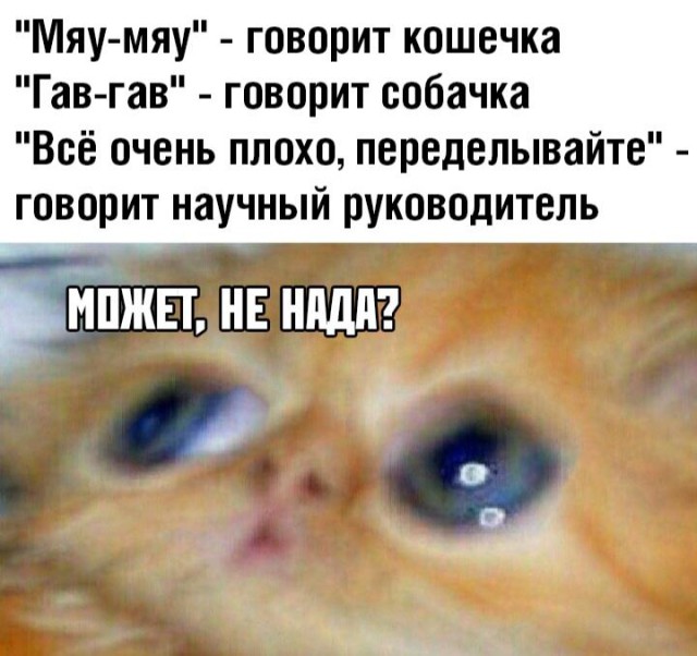 Немного картинок для настроения