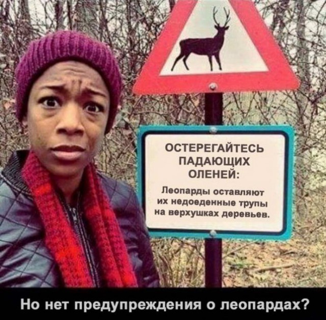 А вы слышите голоса?
