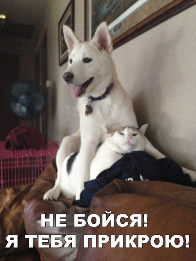 Чуток картинок 12.04.20