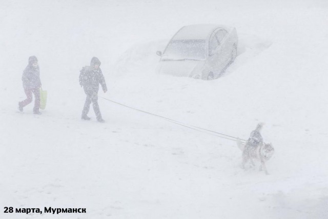 Прикольные и просто красивые картинки 04.05.2020