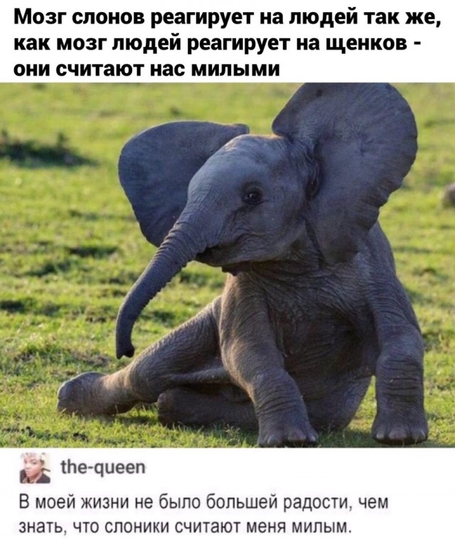 Так себе картинки 21.05.20