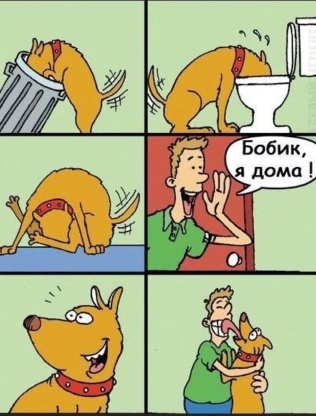 Пес укладывает ребенка спать
