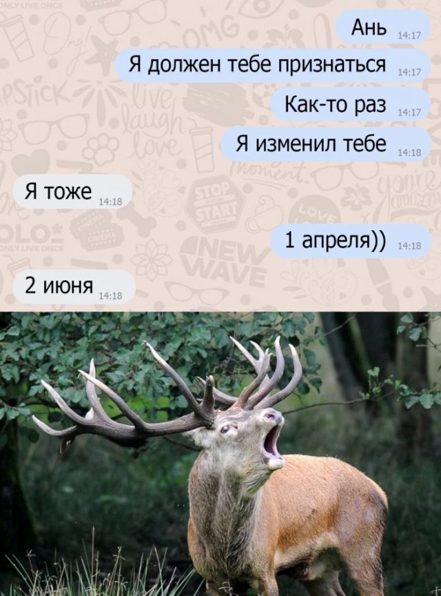 Пятница. Немного слегка пошлых картинок с надписями и без 16+ (07.08)