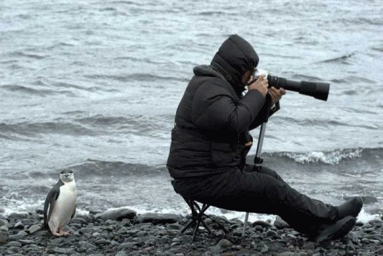 Внимательный фотограф