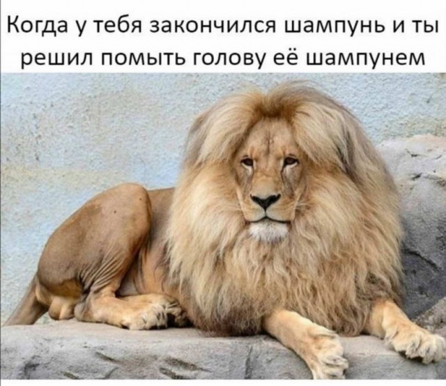И снова пятница. И немного слегка пошлых картинок с надписями и без 16+ (21.08)