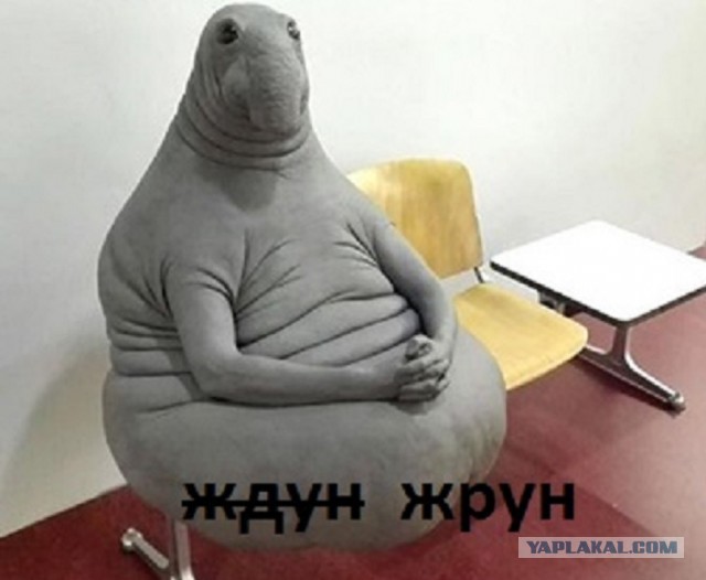 Жрун вместо кормильца: как выгоды семейной жизни превращаются в потери