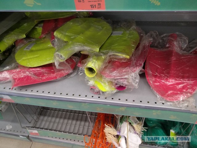 Справедливо ли, что женщины жрут наравне с мужчинами?