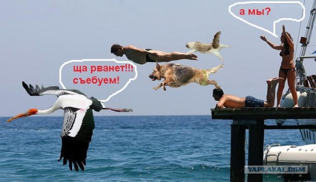 Полет "супермена"