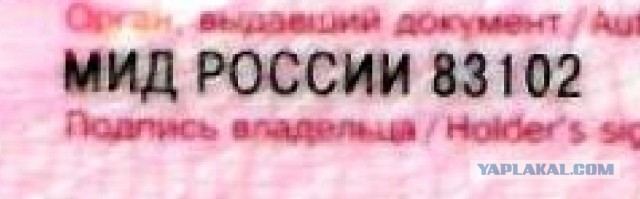 Исход из Казахстана. Причины, факты, фантазии