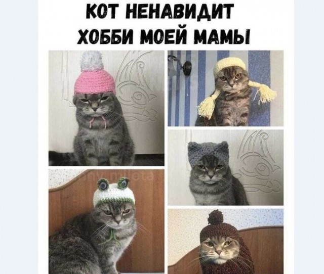 Картинки и мемы для настроения 014