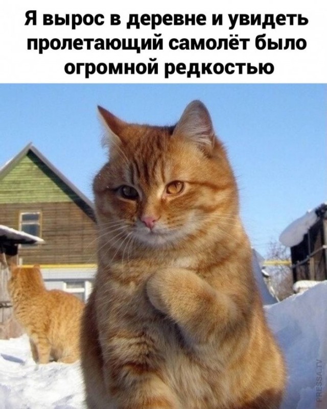 Картинки и мемы для настроения 018
