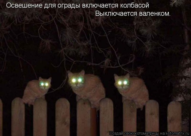 Сервачок