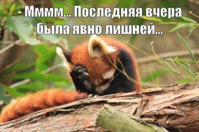 Алкопост выходного дня