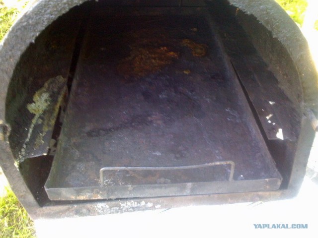 Все из рыбы!