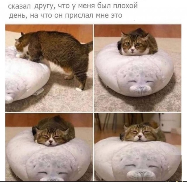 Картинки с надписями и всякие жизненные фразы 6.07.21
