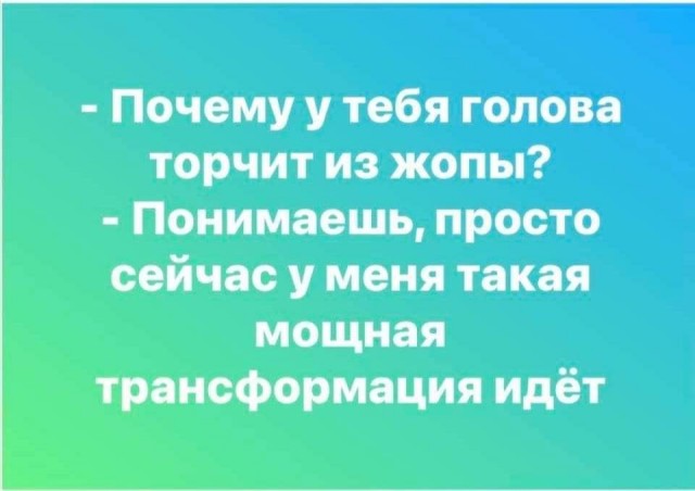 Всяческие картинки 29.12.2021