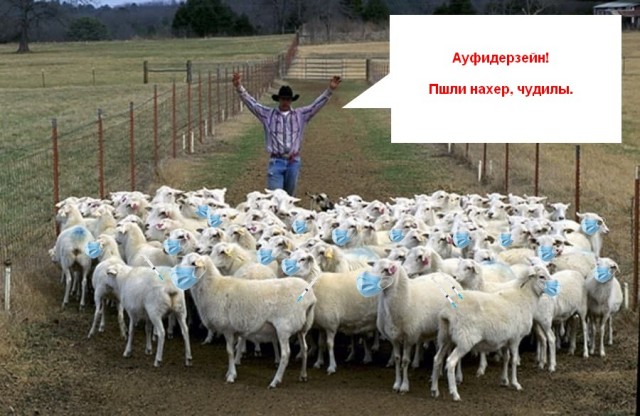 Апокалипсис 2022+