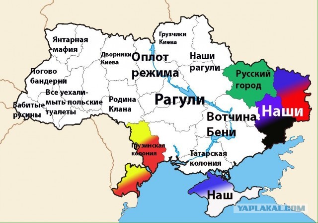 Вот же сука!