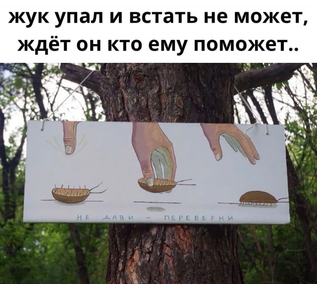 Так себе картинки 23.03.22