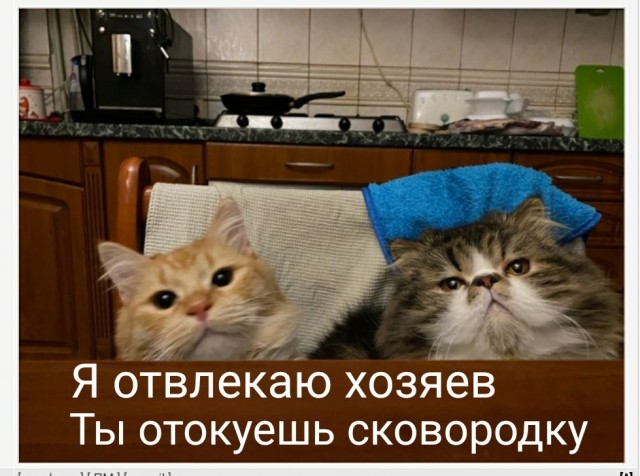 Гаражный грязный Гаря
