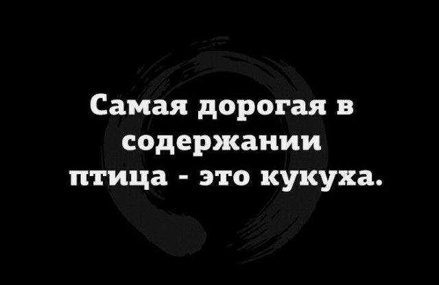 Юмор в картинках 20.05.2022