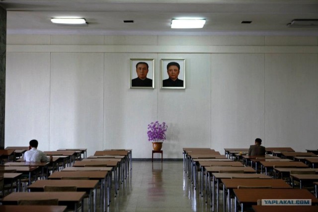 Северная Корея "в цвете"