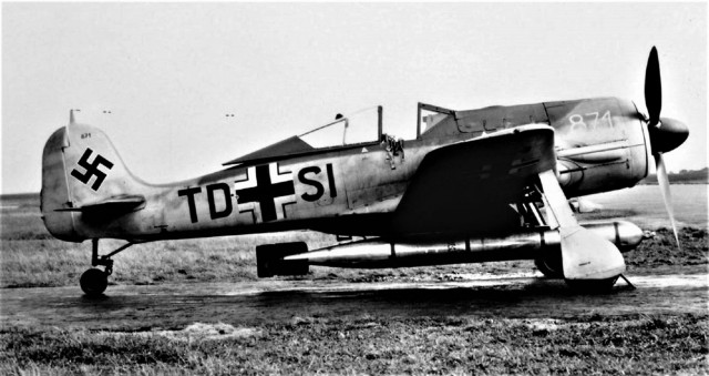 Длиноносая Дора. FW-190D9.