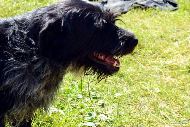 Отдых по-русски.