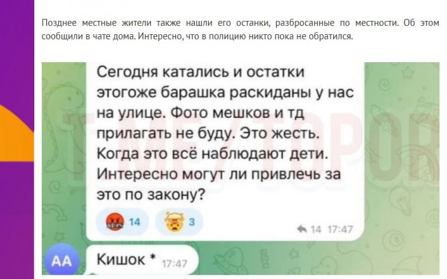Жителю Дагестана не понравился внешний вид туристки и понеслось…