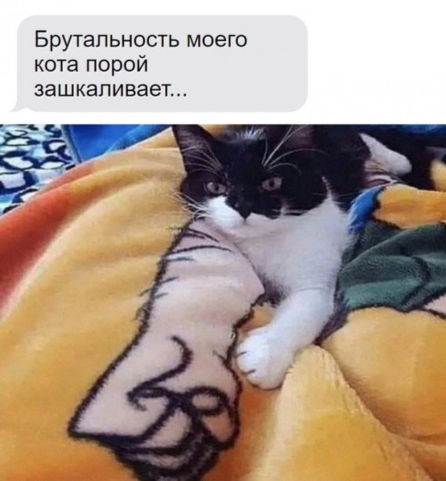 Немного картинок для настроения - 117
