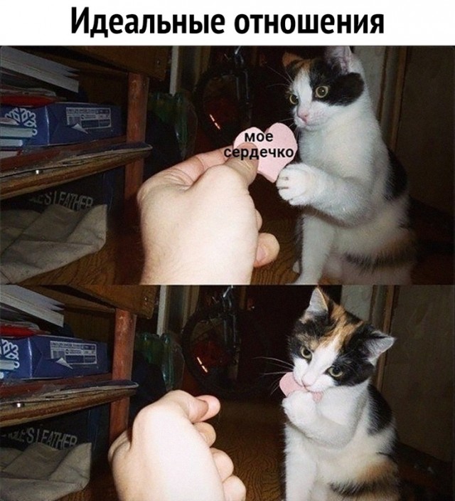 Немного картинок для настроения/постпраздничное