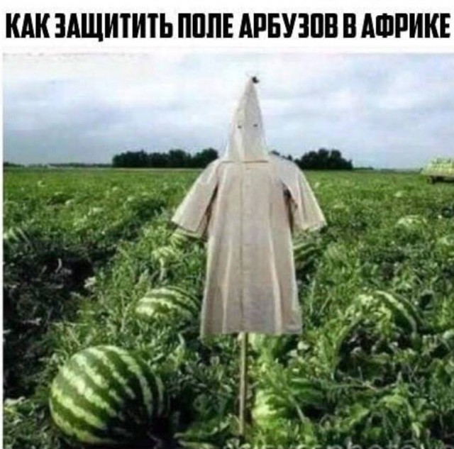 Картинки и мемы для настроения - 119