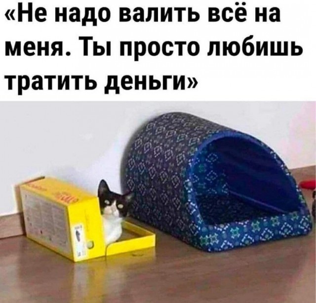 Картинки и мемы, всем хороших выходных