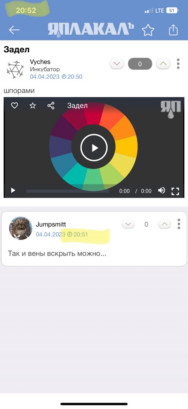 Бойцовский петух чуть не зарезал своего хозяина во время петушиных боёв в Мексике