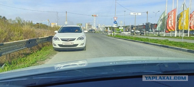 Бараны на встречке